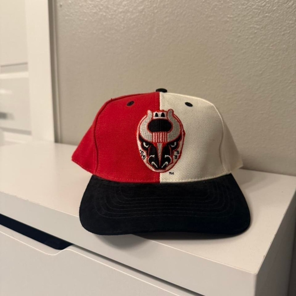 Vintage Birmingham Bulls Split Panel Snapback Vintage 2-Tone Split Taiwan R.O.C.